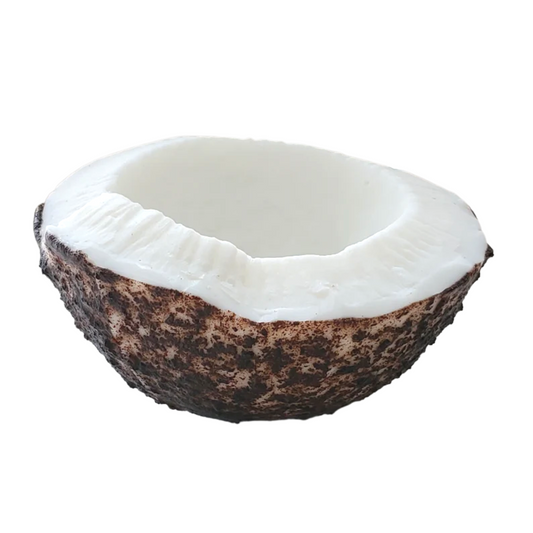 Exfoliating Coconut Collection Soap